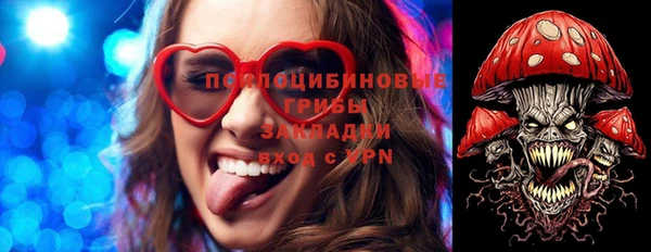 эйфоретик Тында