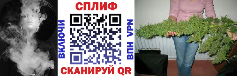 МАРИХУАНА ГИДРОПОН Новохопёрск